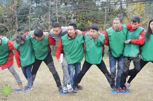 養(yǎng)樂(lè)多