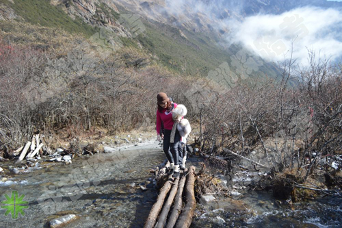 格局商學(xué)院