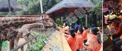 成都探路者拓展培訓(xùn)公司