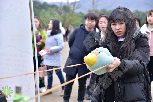 人保財(cái)險(xiǎn)車商