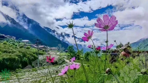 成都探路者拓展培訓(xùn)公司