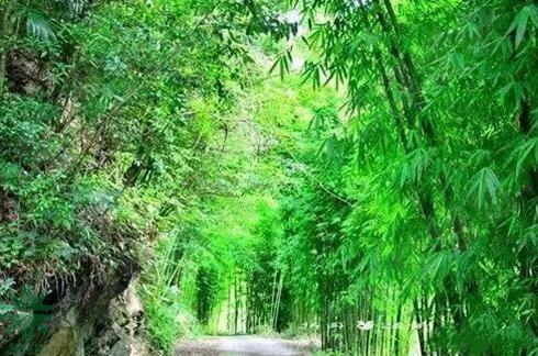 成都探路者拓展訓(xùn)練