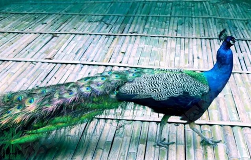 成都探路者拓展訓(xùn)練