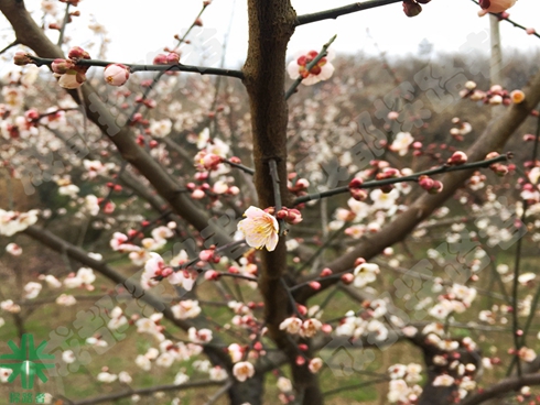 成都探路者拓展培訓(xùn)