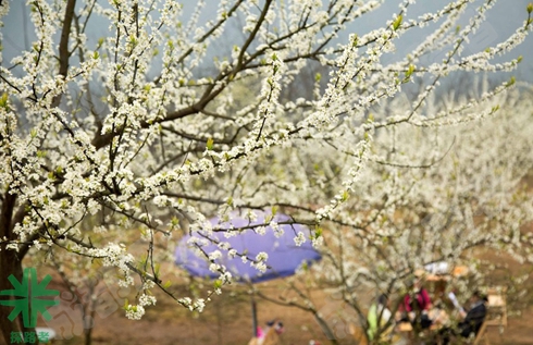 成都探路者拓展培訓