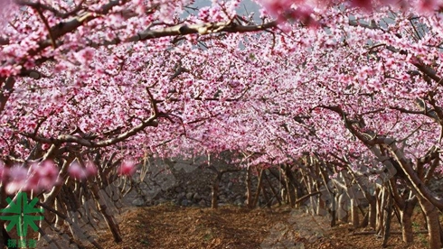 探路者拓展培訓