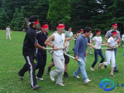 素質(zhì)拓展心得體會500字