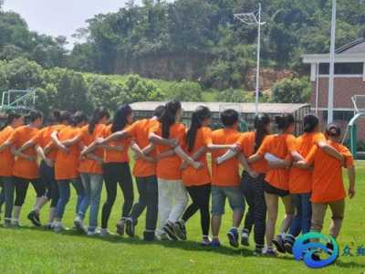 素質(zhì)拓展訓(xùn)練心得體會(huì)1500字