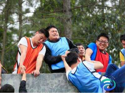 團(tuán)隊(duì)精神與素質(zhì)拓展的心得