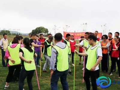 公司團(tuán)隊(duì)拓展培訓(xùn)心得體會(huì)總結(jié)