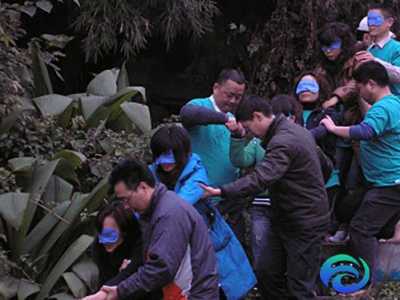 公司拓展訓(xùn)練后的感悟和總結(jié)