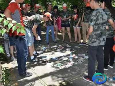 團隊素質拓展心得體會