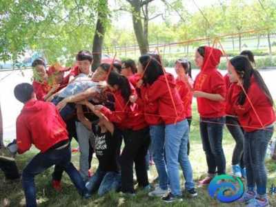 大學(xué)生素質(zhì)拓展心得體會(huì)