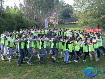 素質(zhì)拓展團(tuán)隊合作訓(xùn)練心得