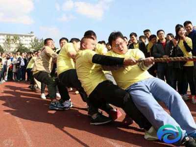 游戲規(guī)則玩法（拔河比賽）操作流程分享總結(jié)