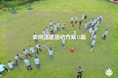 公司團(tuán)建活動(dòng)方案15篇