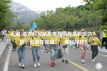 無錫7條農(nóng)村公路憑借顏值和品質(zhì)成功入選“省級樣板路”，都長啥樣？