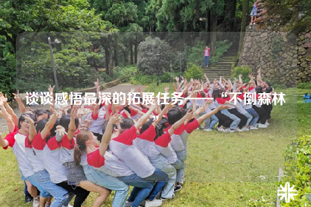 談?wù)劯形蜃钌畹耐卣谷蝿?wù)——“不倒森林”