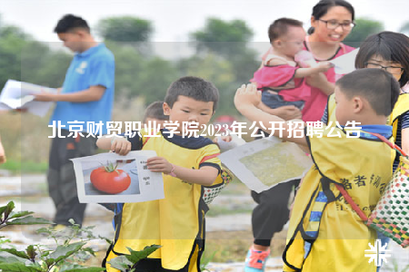 北京財貿(mào)職業(yè)學院2023年公開招聘公告