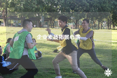 企業(yè)素質(zhì)拓展心得