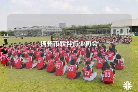 揚州市軟件行業(yè)協(xié)會