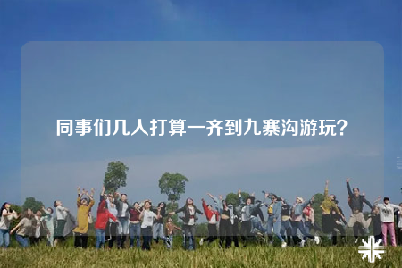 同事們幾人打算一齊到九寨溝游玩？