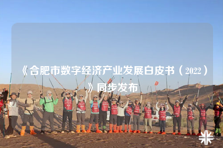 《合肥市數(shù)字經(jīng)濟產(chǎn)業(yè)發(fā)展白皮書（2022）》同步發(fā)布