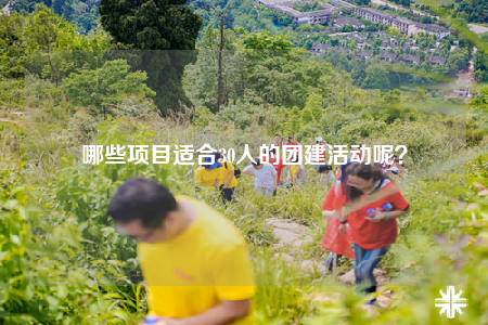 哪些項(xiàng)目適合30人的團(tuán)建活動呢？