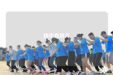 團(tuán)市委簡(jiǎn)介