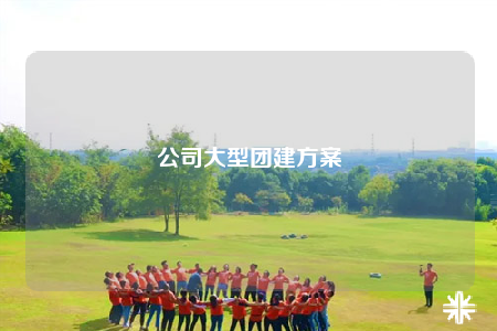 公司大型團(tuán)建方案