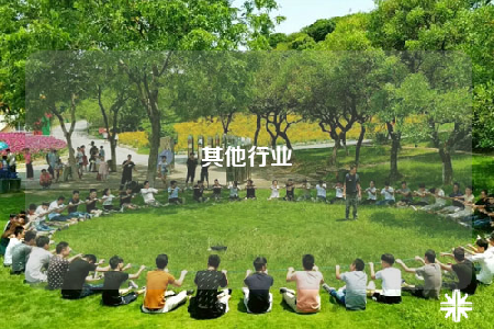 其他行業(yè)