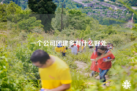一個公司團(tuán)建多有什么好處