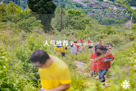 人氣推薦 Promotion
