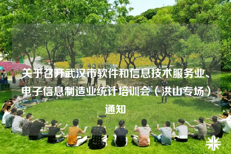 關于召開武漢市軟件和信息技術服務業(yè)、電子信息制造業(yè)統(tǒng)計培訓會（洪山專場）通知