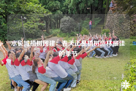 水長城植樹團建：春天正是植樹造林最佳的季節(jié)