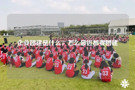 企業(yè)團(tuán)建是什么，怎么最近都要團(tuán)建