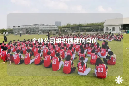 企業(yè)公司組織團建的目的